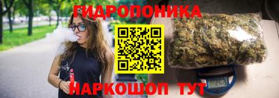 шишки Изобильный