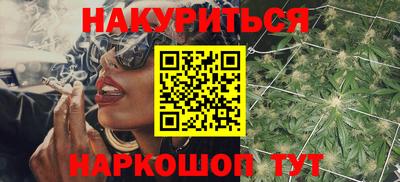 шишки Изобильный