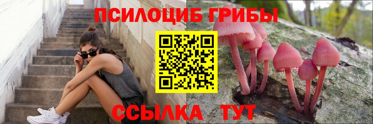 Кулебаки  Псилоцибиновые грибы Psilocybe  Галлюциногенные грибы Psilocybe  Вход с VPN 