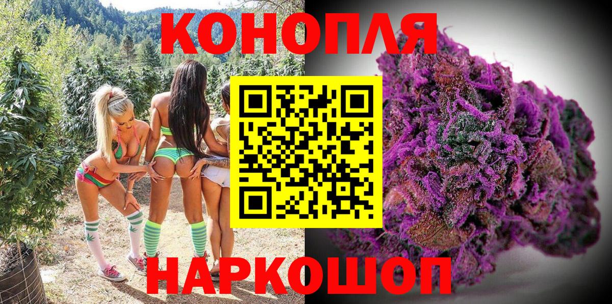 МАРИХУАНА OG Kush  Конопля гибрид  Вход с VPN  Конопля семена  Кулебаки 
